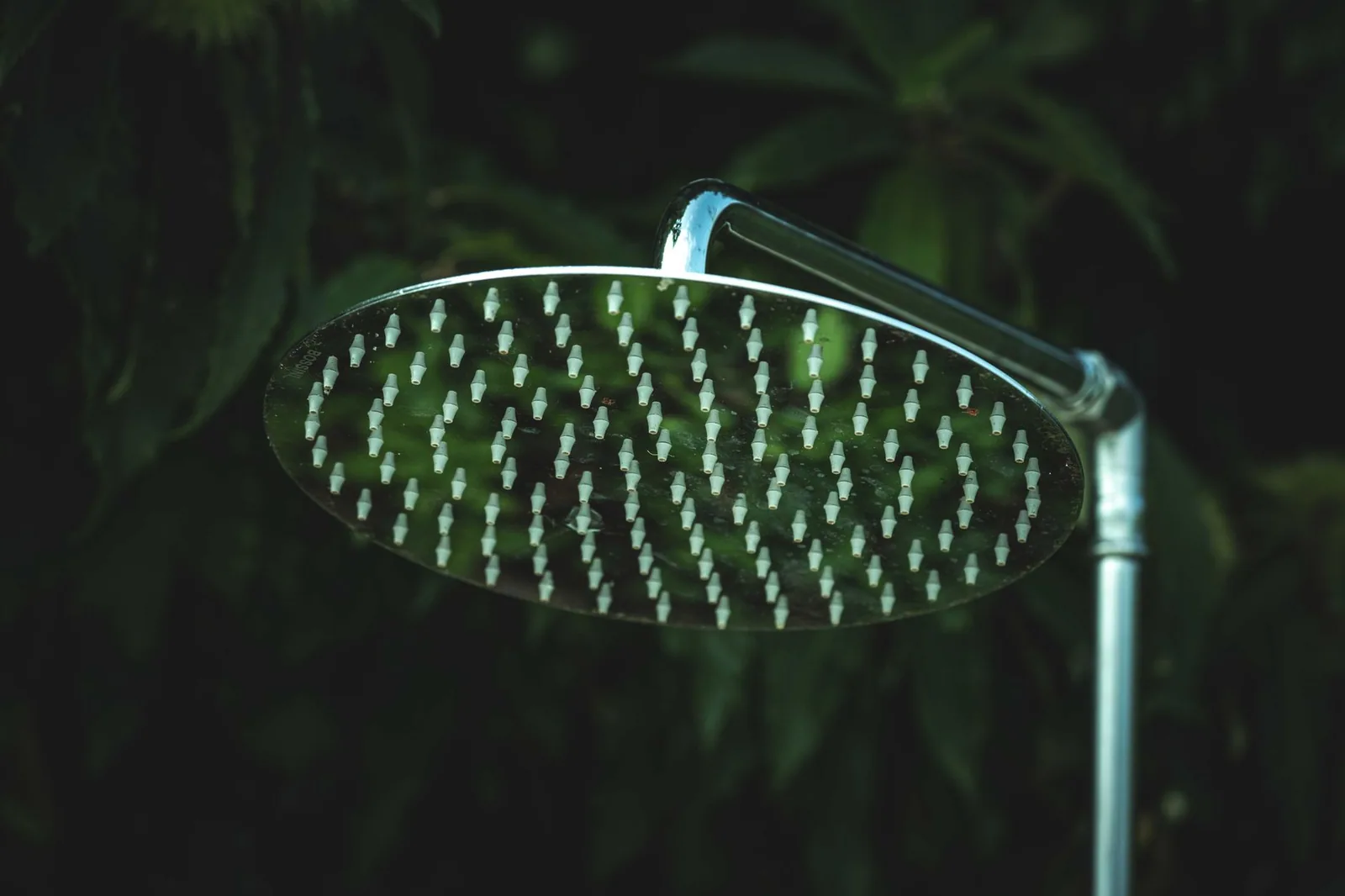 A silver shower head seen close up, where scale narrows the spray holes first
