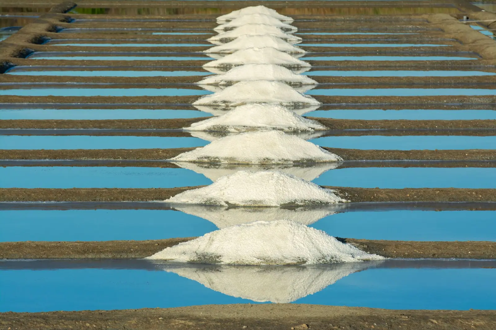 Piles of harvested solar salt drying on the banks of evaporation ponds