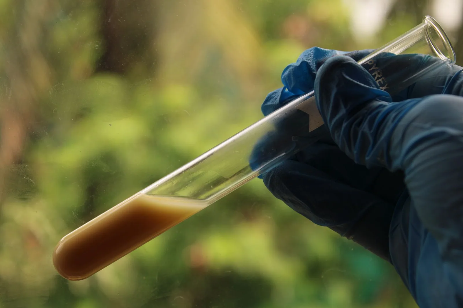 A gloved hand holding a test tube of sample liquid outdoors