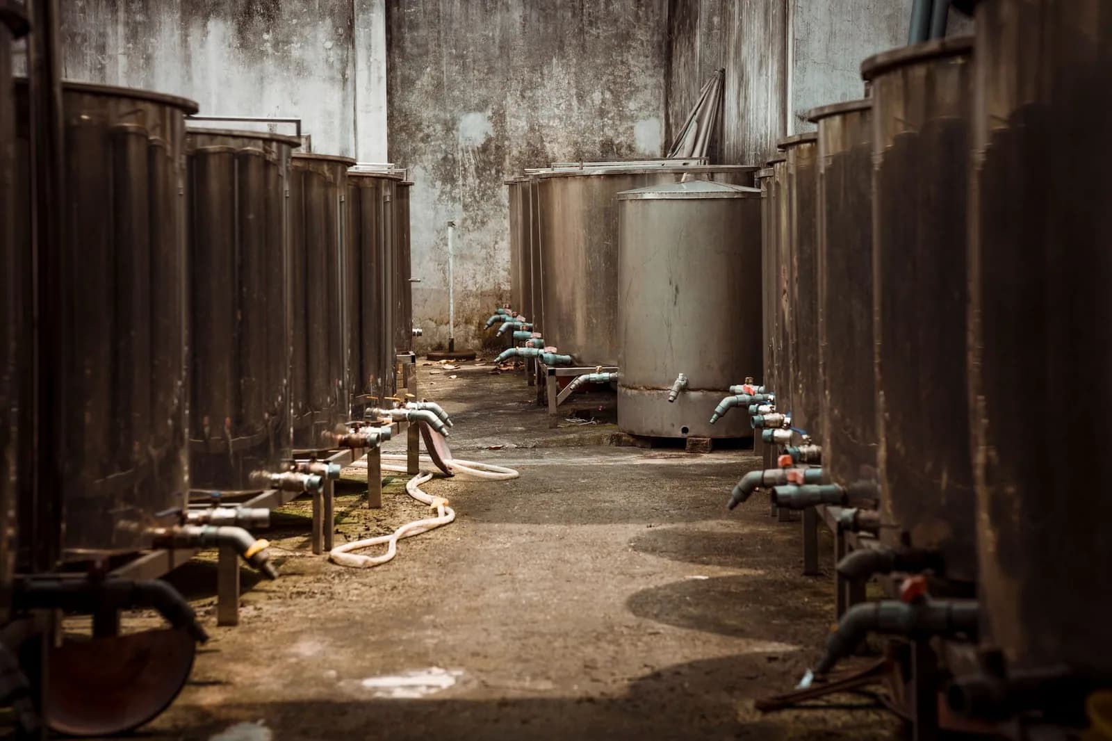 A row of large metal tanks plumbed together with valves and pipework